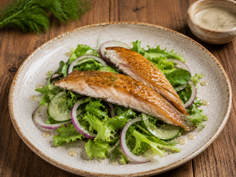 Geräuchertes Aalfilet auf Salatbett mit Meerrettich-Vinaigrette